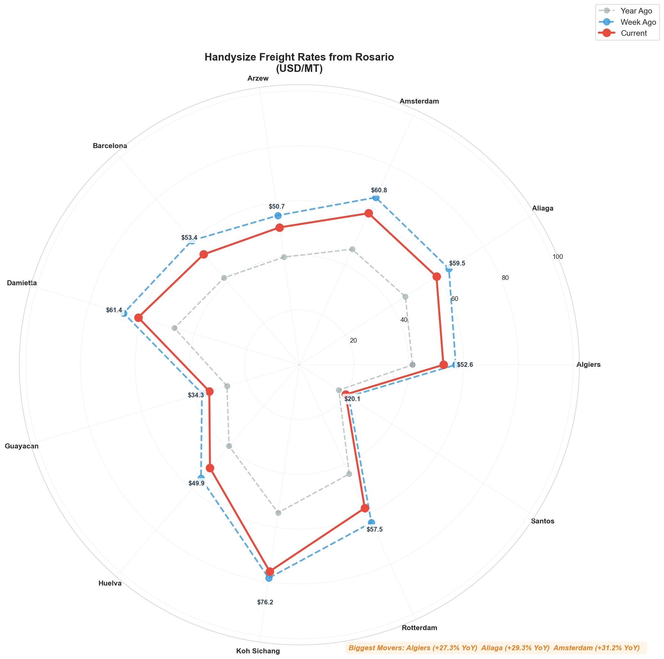 Rosario Radial Chart