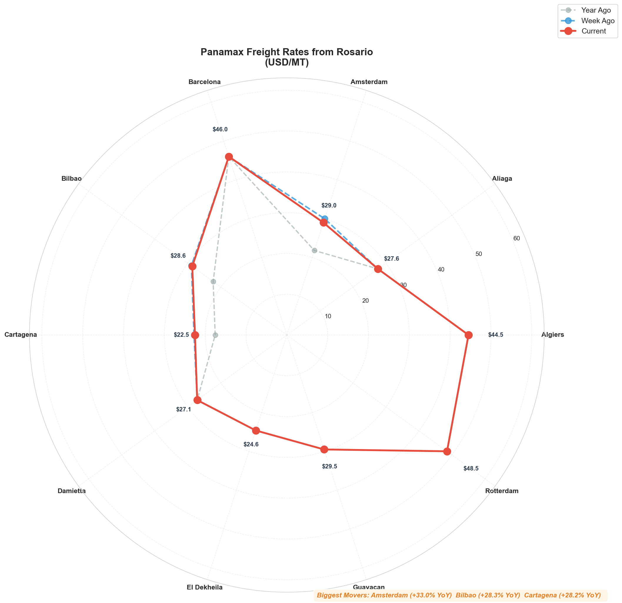 Rosario Radial Chart