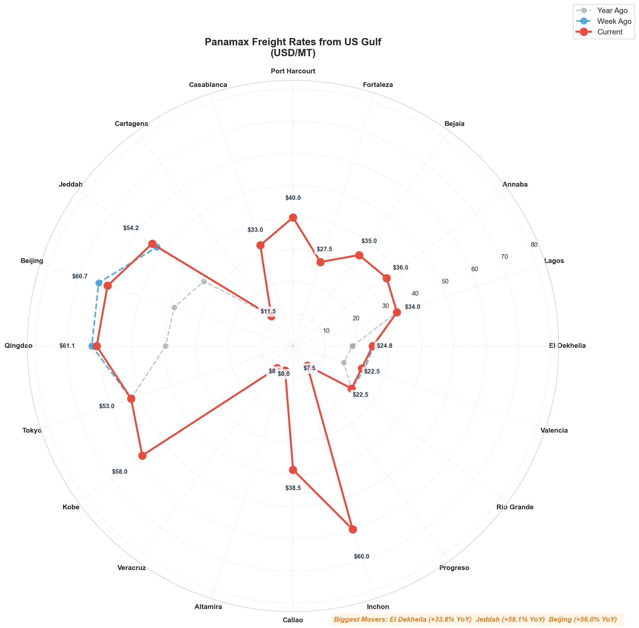 US Gulf Radial Chart