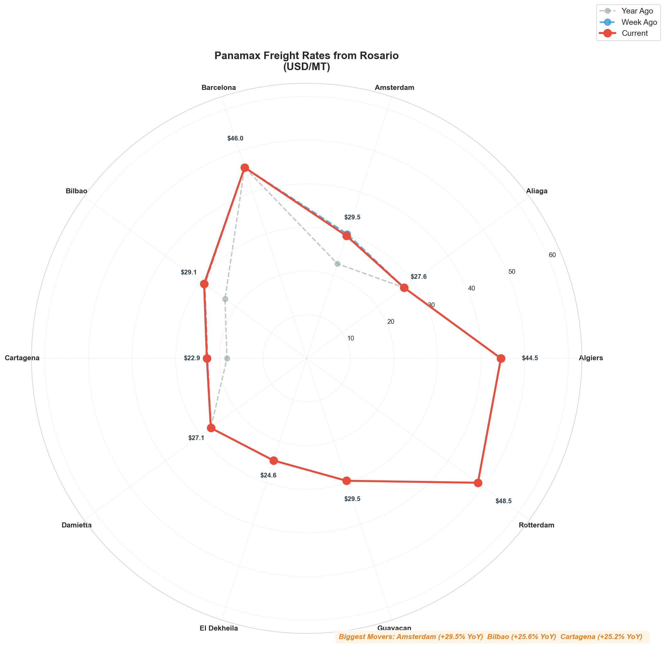 Rosario Radial Chart
