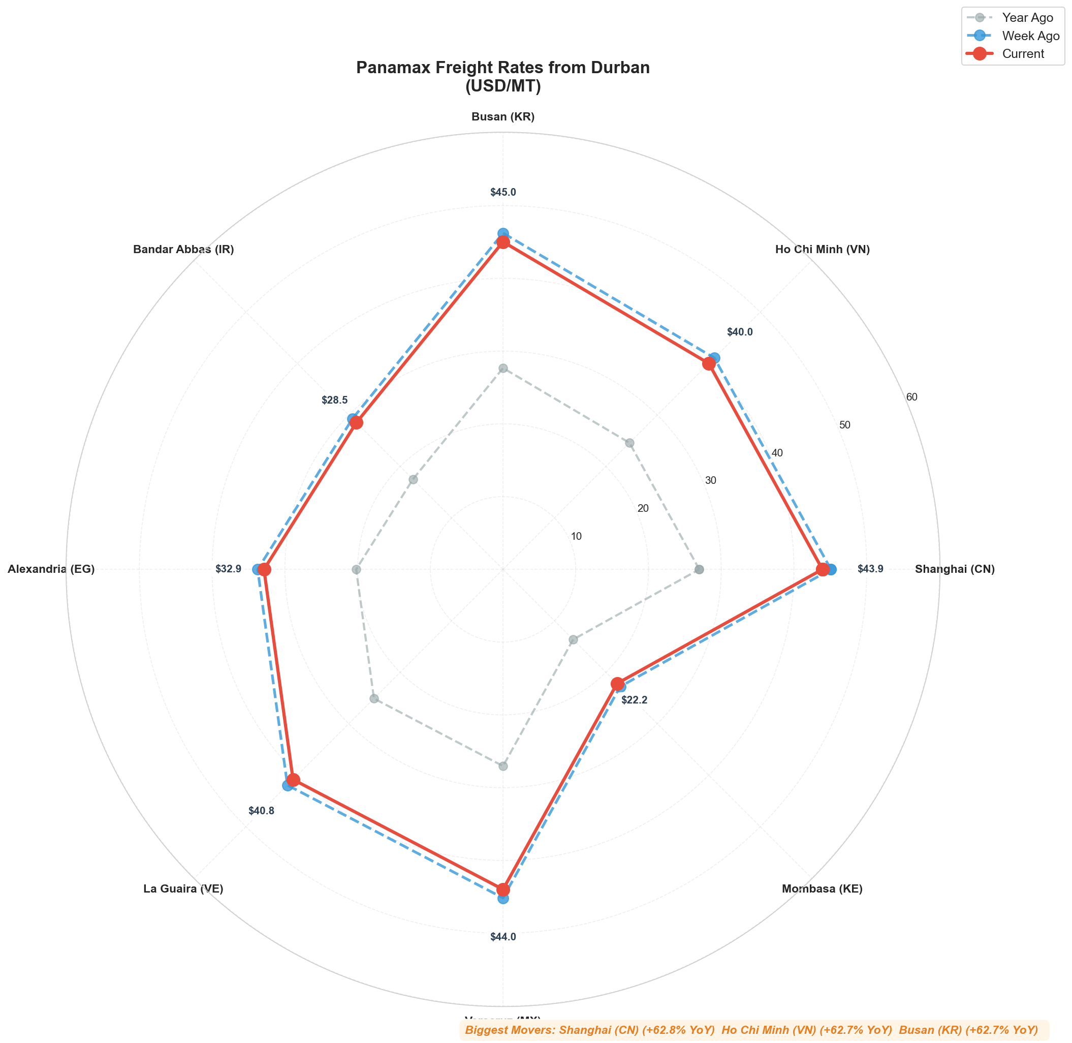 Durban Radial Chart