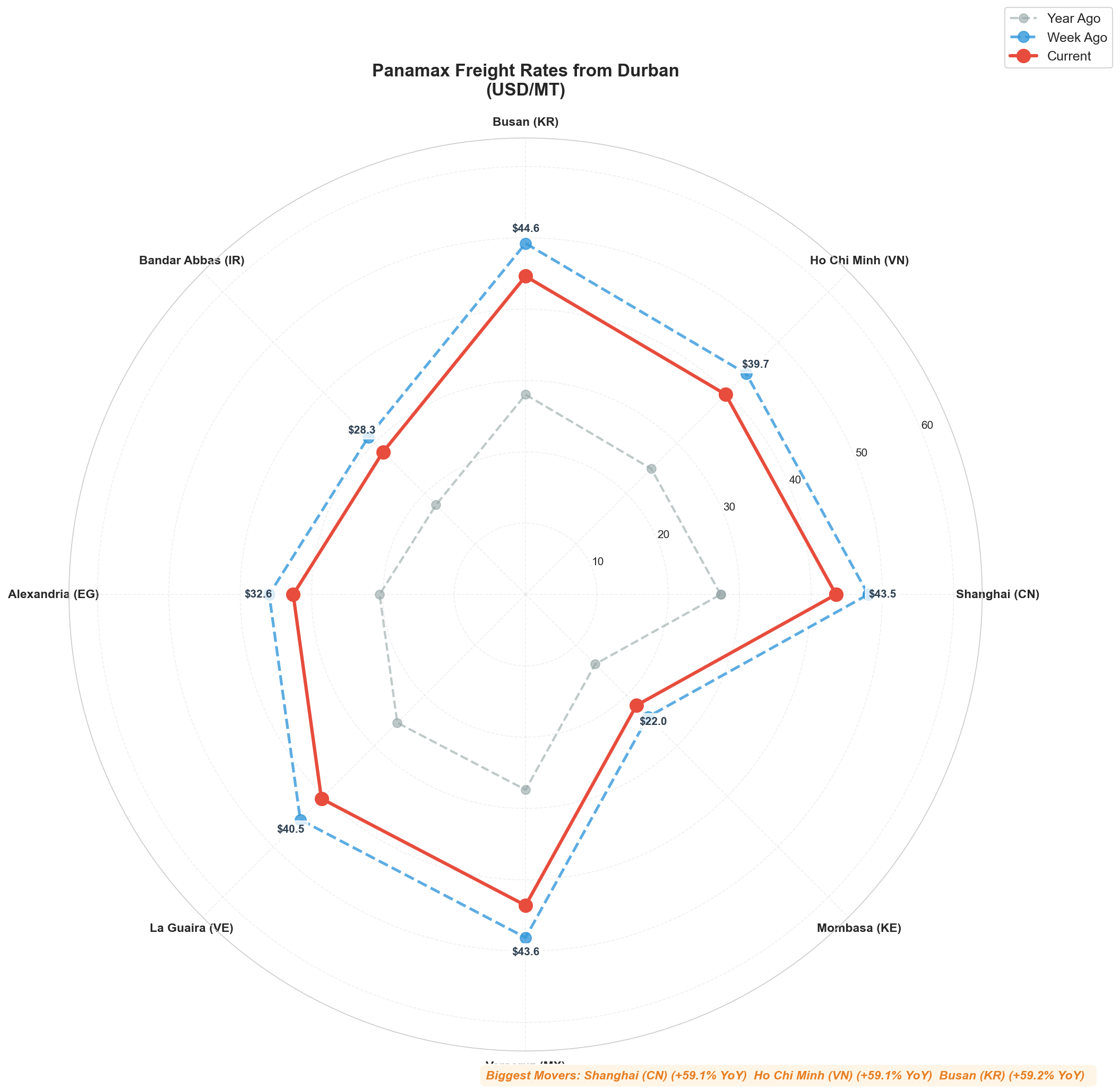 Durban Radial Chart
